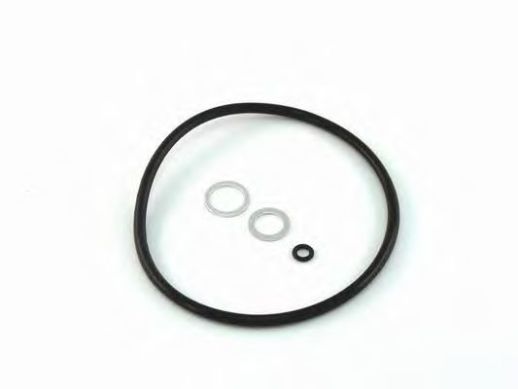 SH 409 АКЦИЯ масляная вставка