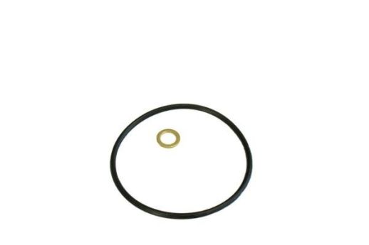 SH 426 P АКЦИЯ масляная вставка